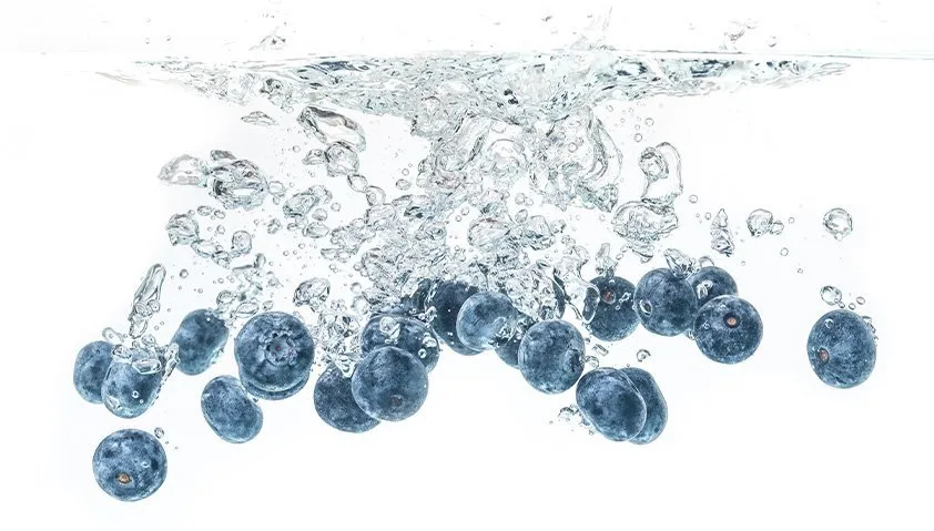 Antioxidant Icon