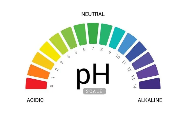 Alkaline pH Icon
